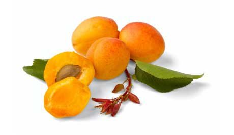 Health Benefits of Apricots Health Benefits of Apricots