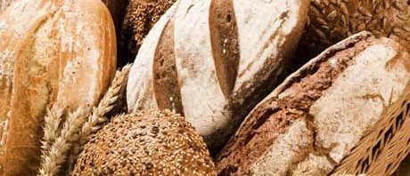 Whole Wheat Bread vs. White Bread