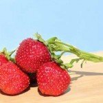 Top 5 Ultimate Super Foods