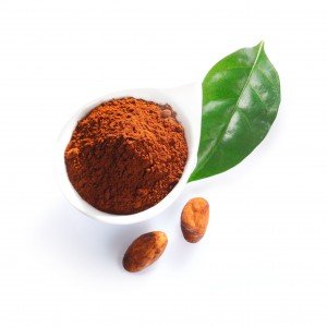 cocoa powder