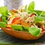 Garden Salad with Lemon and Oil Dressing