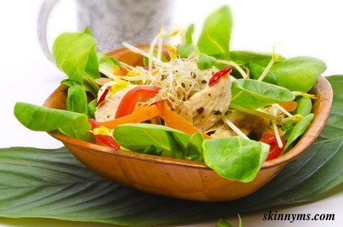Garden Salad with Lemon and Oil Dressing