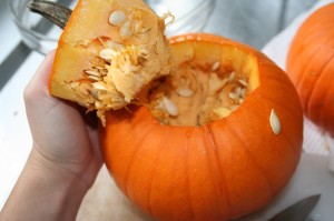 Fresh Pumpkin Puree
