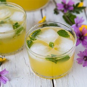 Pineapple Mint Spritzer