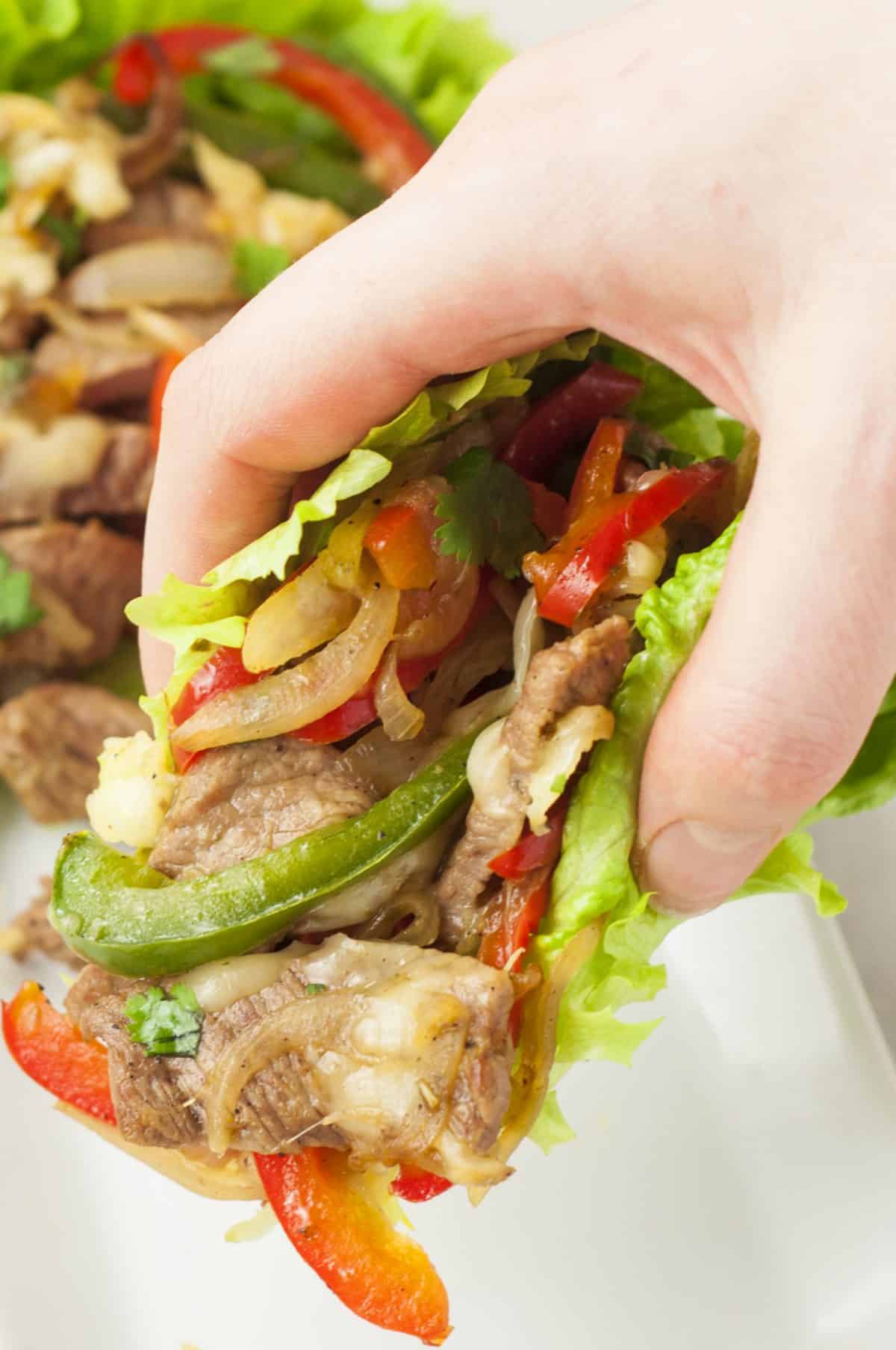 A hand holding a filled wrap.