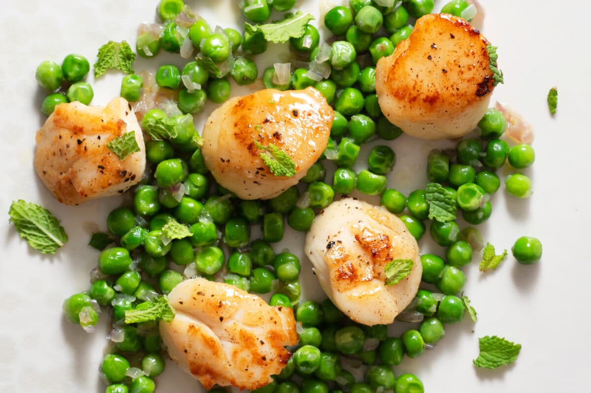 seared scallops with green peas