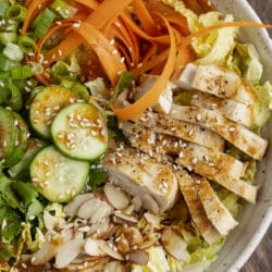 This sesame ginger chicken salad is high in protein and offers a yummy Asian flavor.