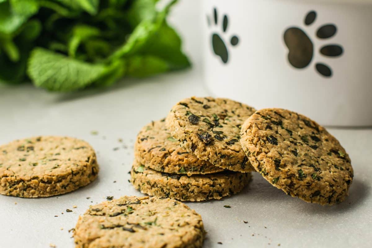 dog treats in front of dog bowl and mint leaves