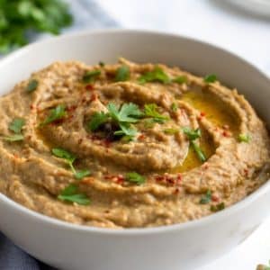 Greek Eggplant Dip Close Up